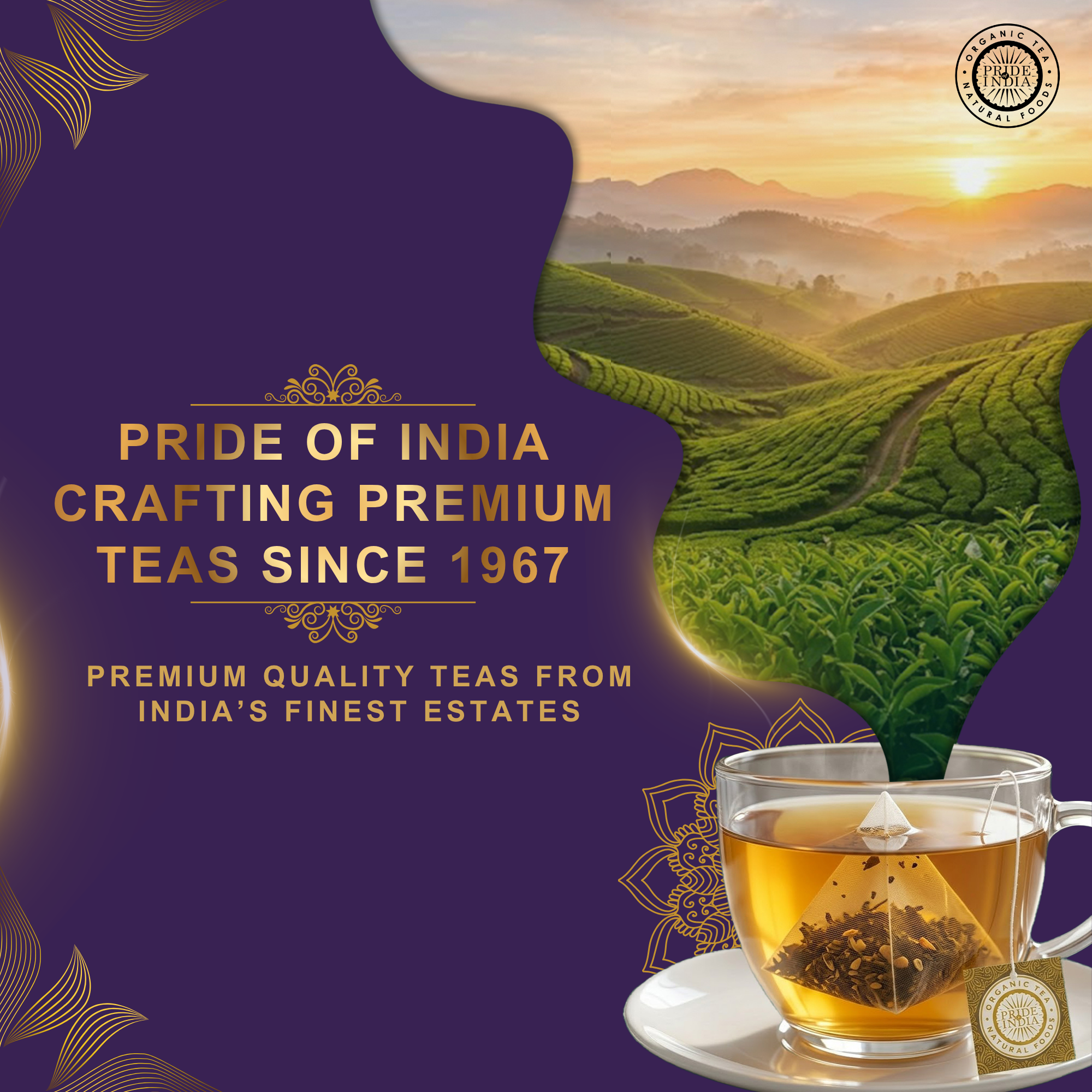 Sauvignon Creme - Peachy Oolong Tea Bags